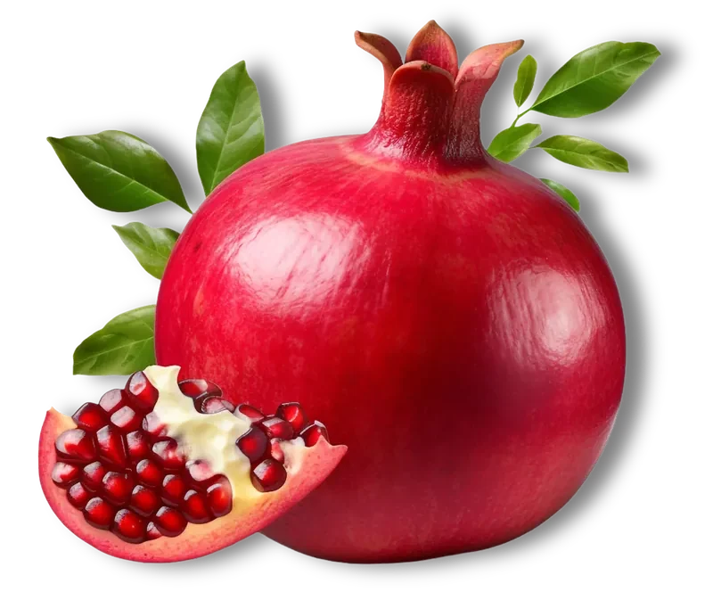 Pomegranate